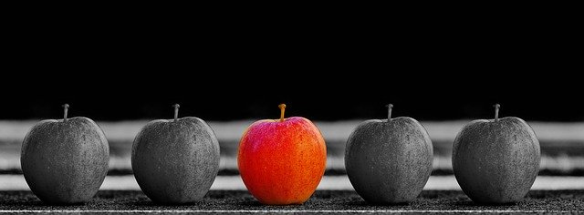 Workforce Management: Ein wichtiger Baustein für die Digitalstrategie
